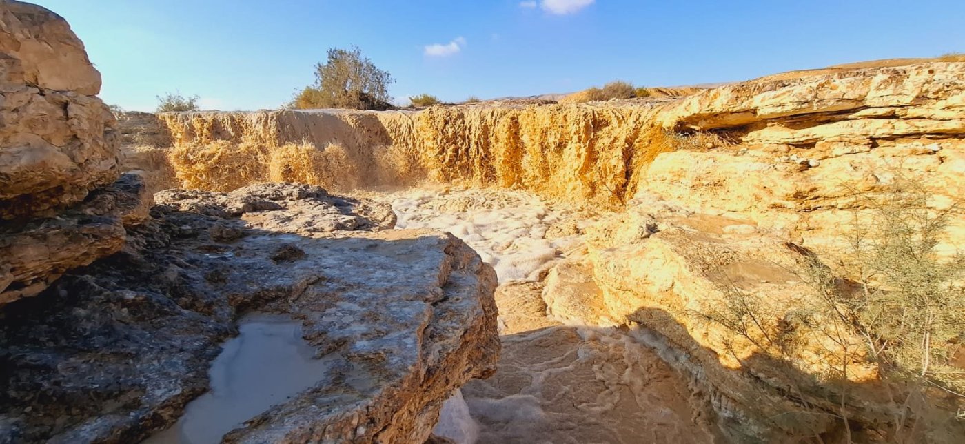 עמרם צברי רט"ג