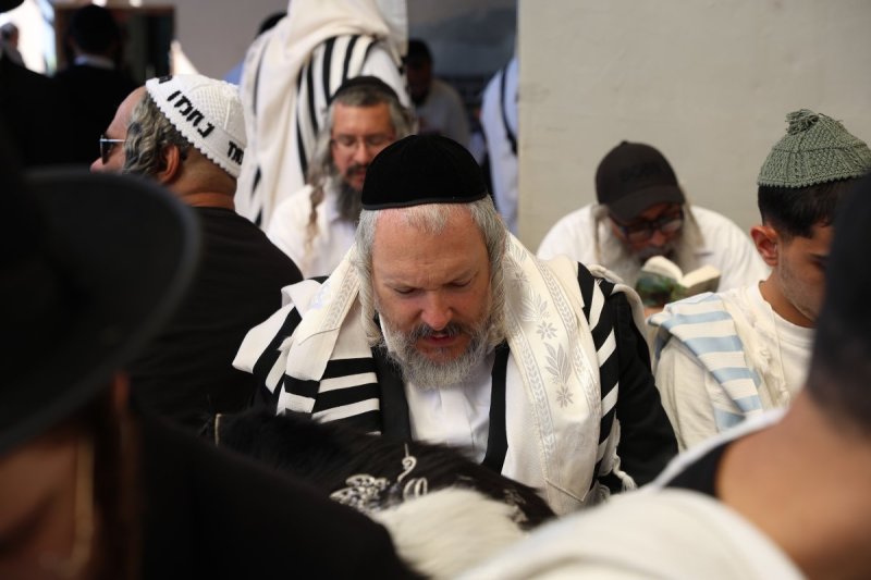 יהודה וויס