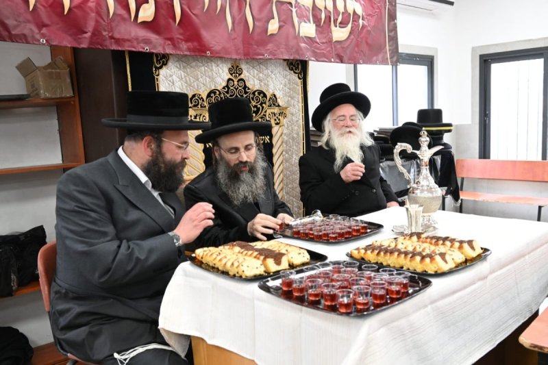 קובי הר צבי