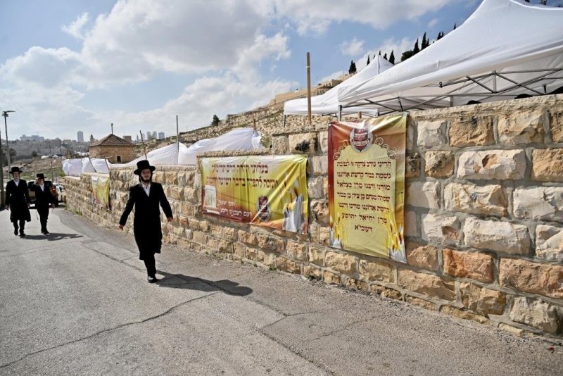 יהושע פרוכטר