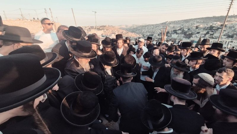 שלומי טריכטר