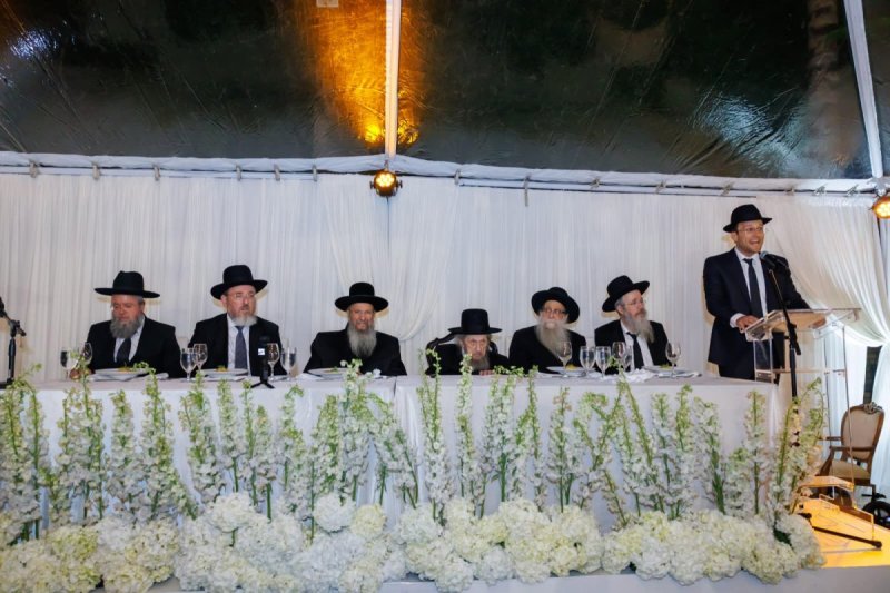 דניאל נפוסי ומאיר זלזניק