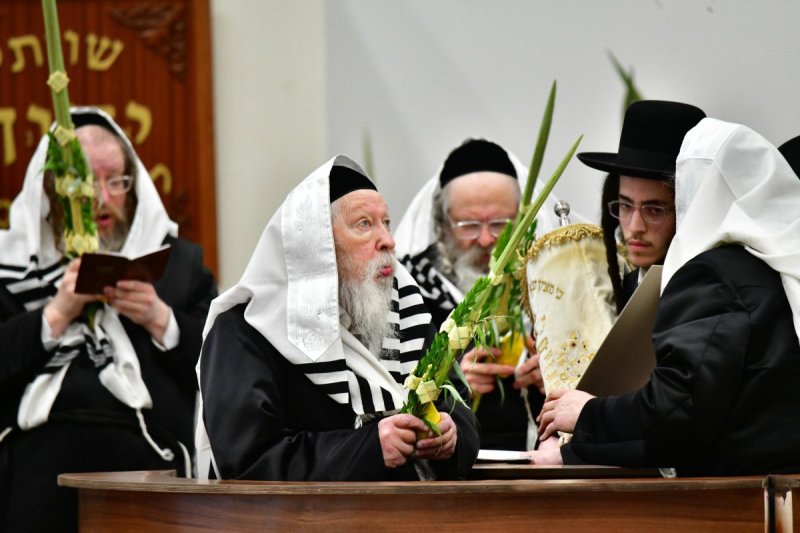 שוקי לרר