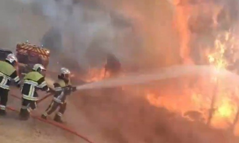 גל השרפות בצרפת: לוחמי האש ממשיכים במאבק חסר פשרות בלהבות