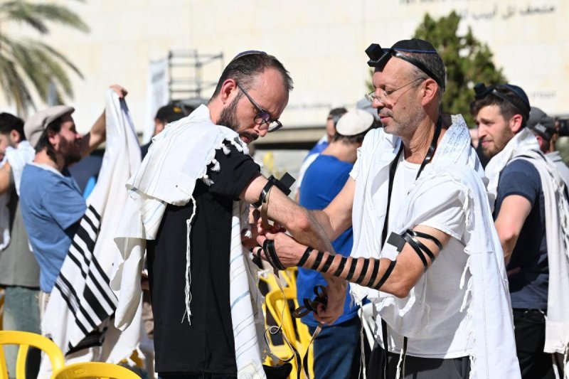 פאולינה פטימר