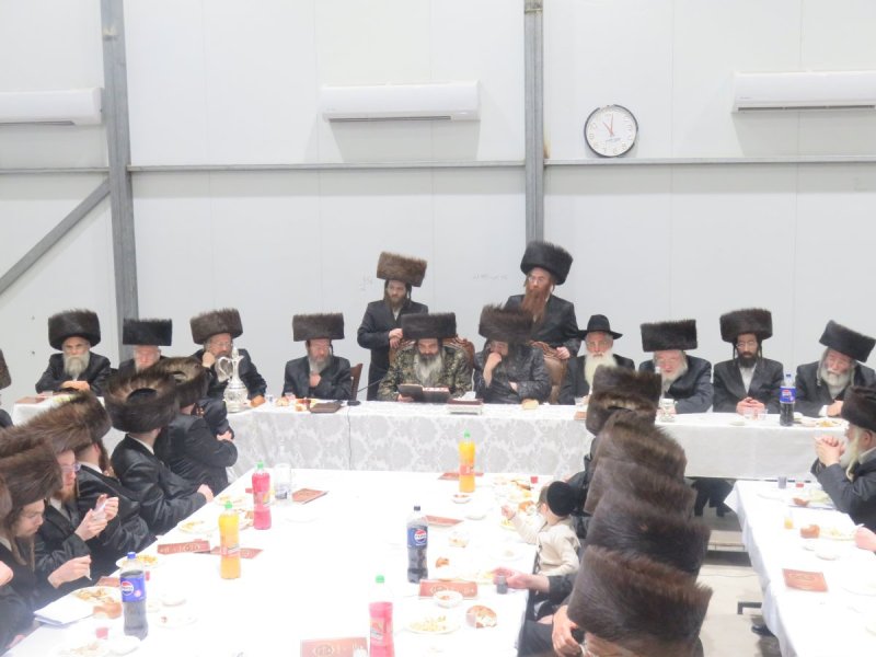 משה גולדשטיין