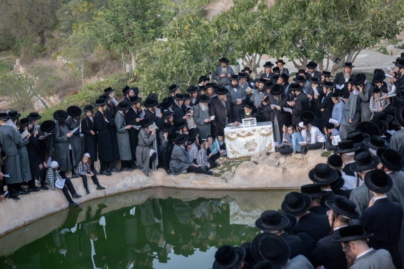 חיים גולדברג - פלאש 90