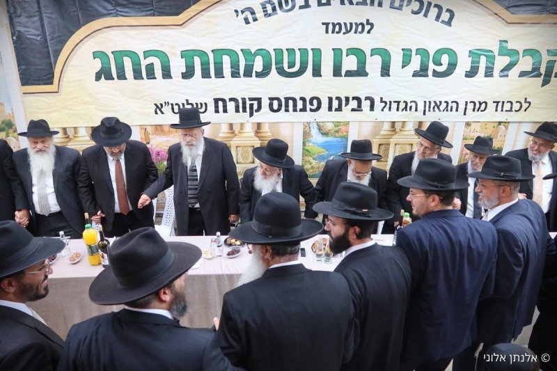 אלנתן אלוני