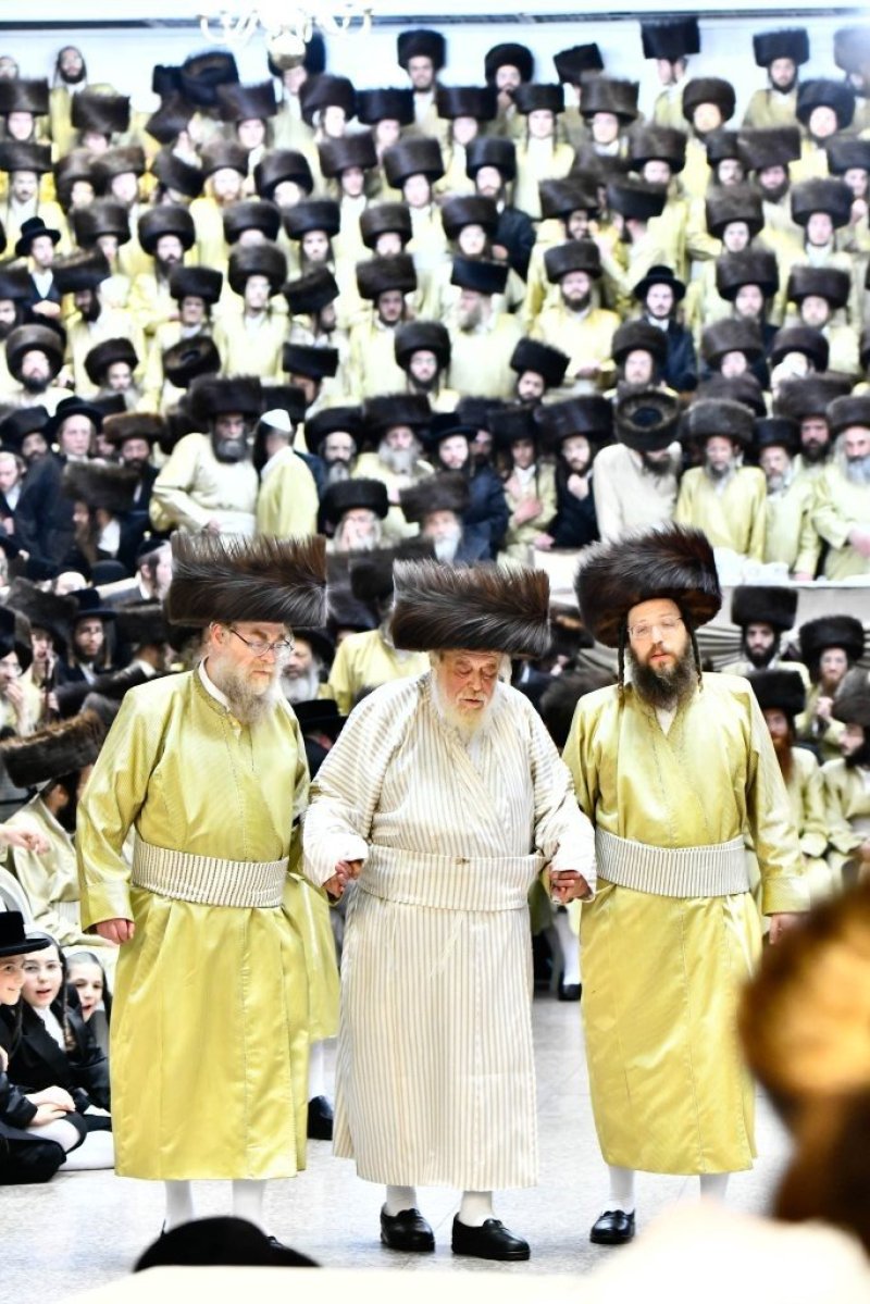 שוקי לרר