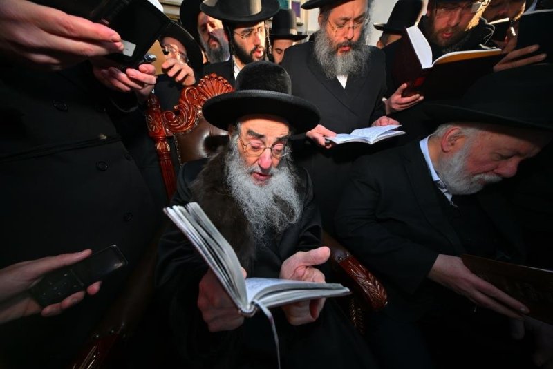 יהושע פרוכטר