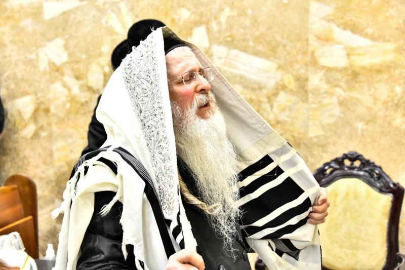 שוקי לרר