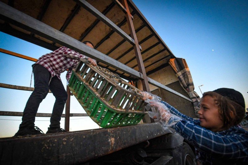 ארי קופרשטוק