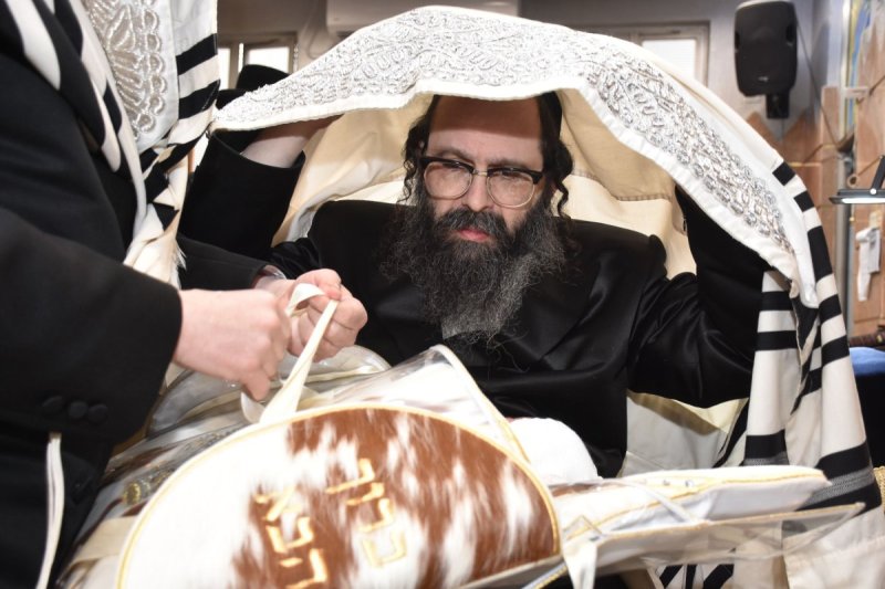 יהודה פרקוביץ