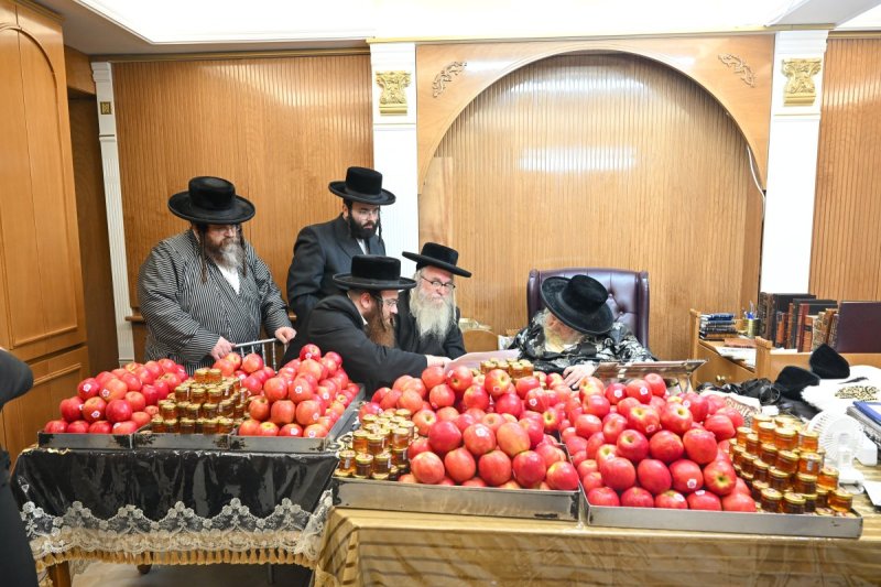 משה גולדשטיין