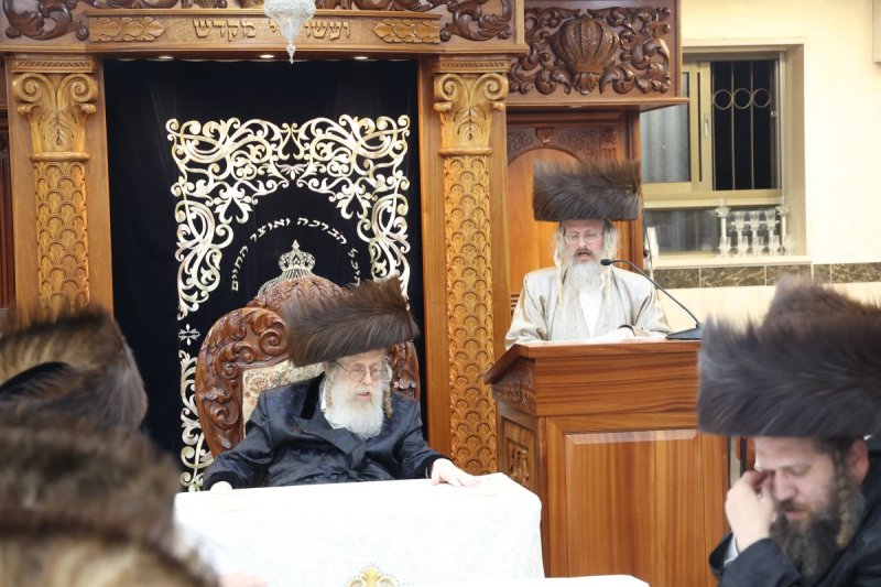 שלומי טריכטר