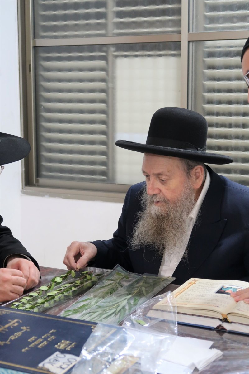 י. פריד