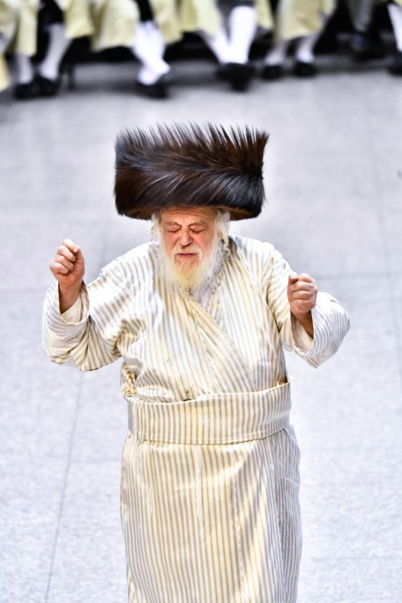 שוקי לרר