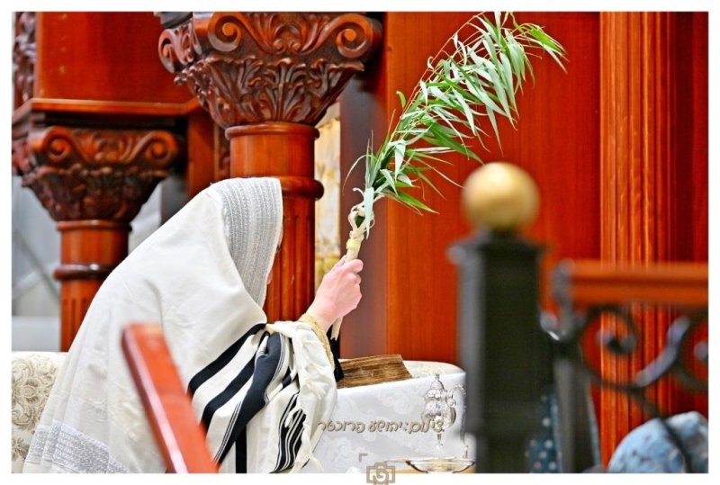 יהושע פרוכטר