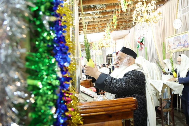 שלומי טריכטר ומ.פ