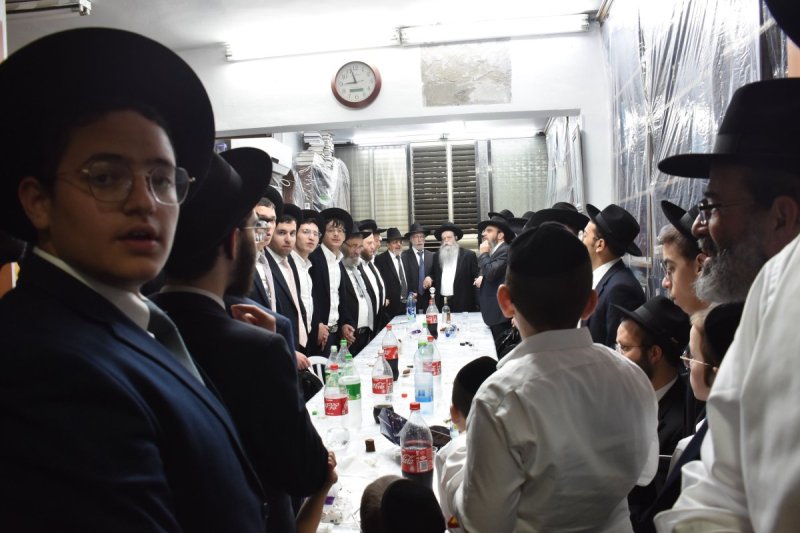 יהודה פרקוביץ