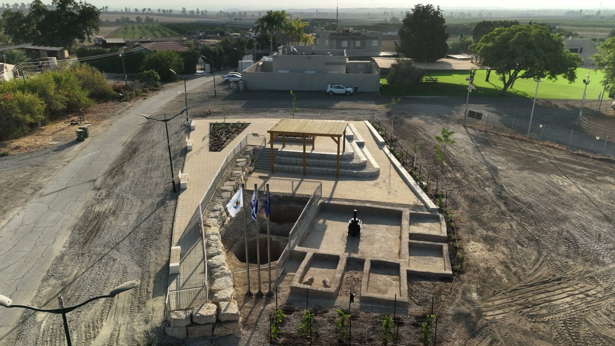 אמיל אלג'ם, רשות העתיקות