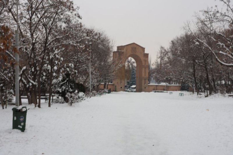 צילום: מרדכי לובעצקי