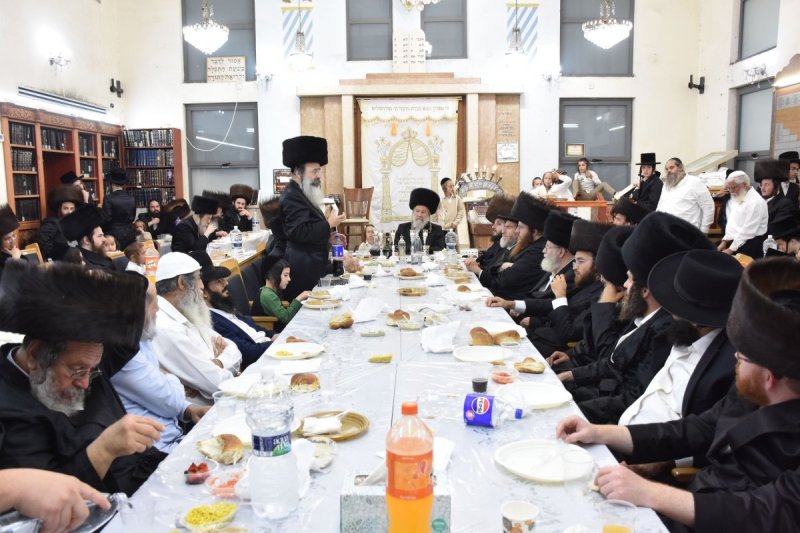 יהודה פרקוביץ