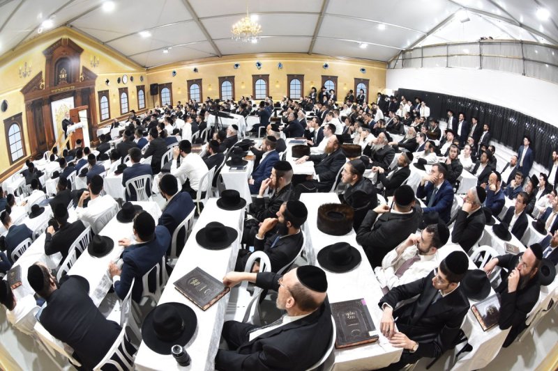 יהודה פרקוביץ