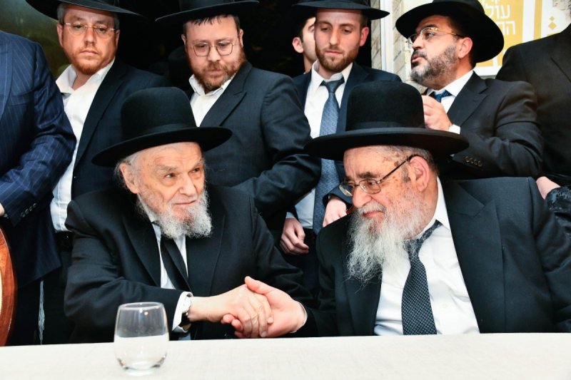 שוקי לרר ומאיר זלזניק