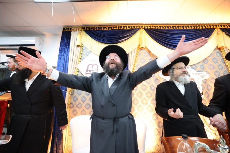 קובי הר צבי