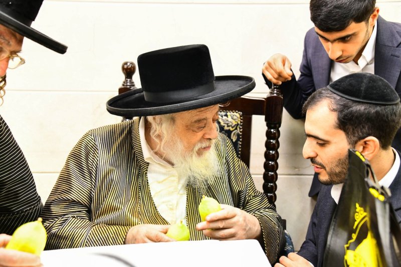 שוקי לרר