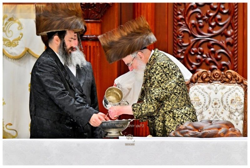 יהושע פרוכטר