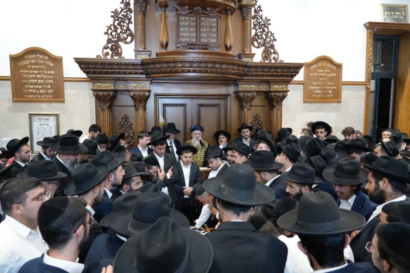 דוד חי - בצליל ובזמר