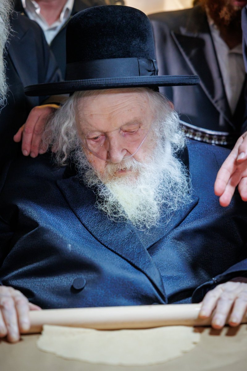 דניאל נפוסי