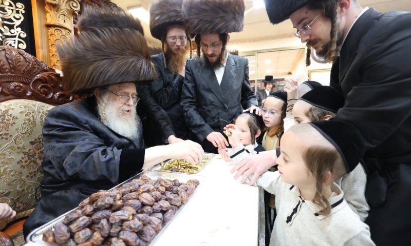 הרבי חילק שוקולדים ותמרים: מעמד הקבלת פני רבו ברגל בחצר קאמרנא