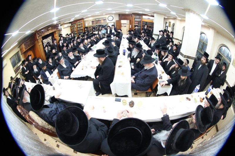 שלומי טריכטר