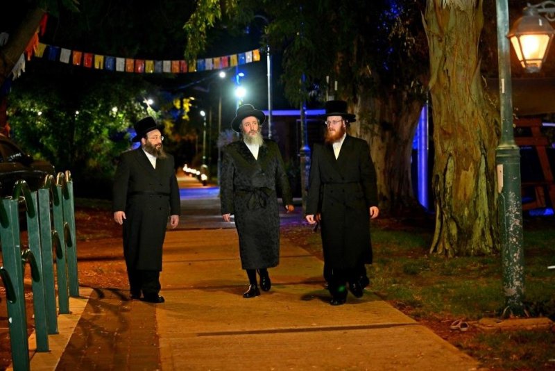 יהושע פרוכטר