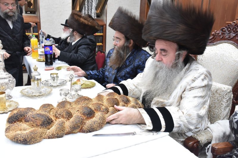 יהודה פרקוביץ