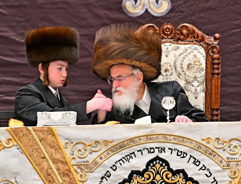 יהושע פרוכטר