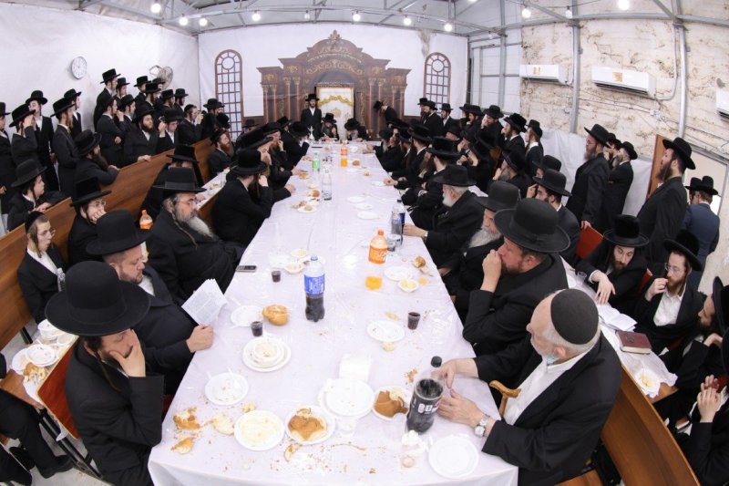 צ.י