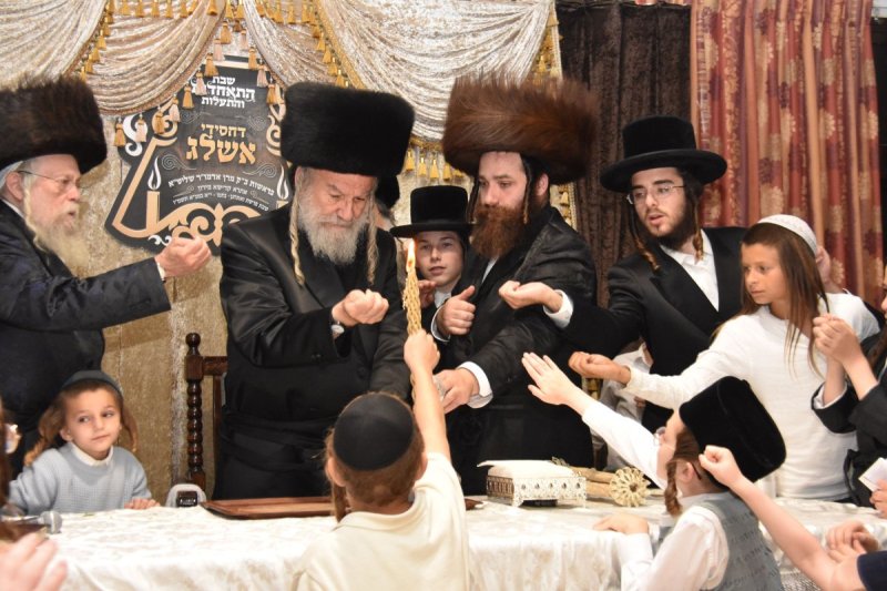 יהודה פרקוביץ