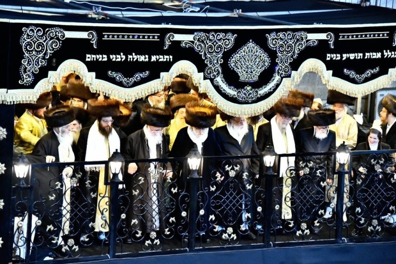 שוקי לרר