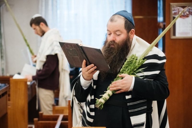 לוי נאזרוב