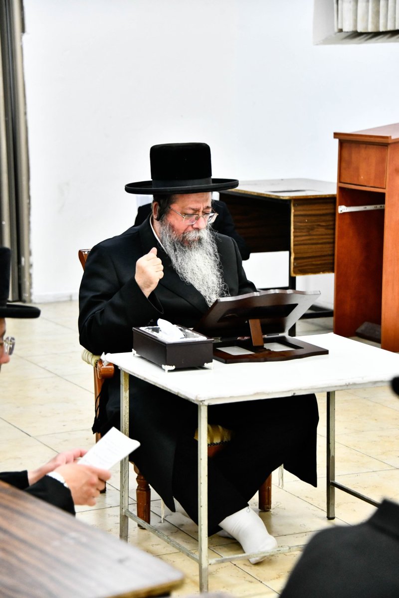 שוקי לרר