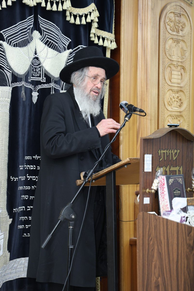 שוקי לרר