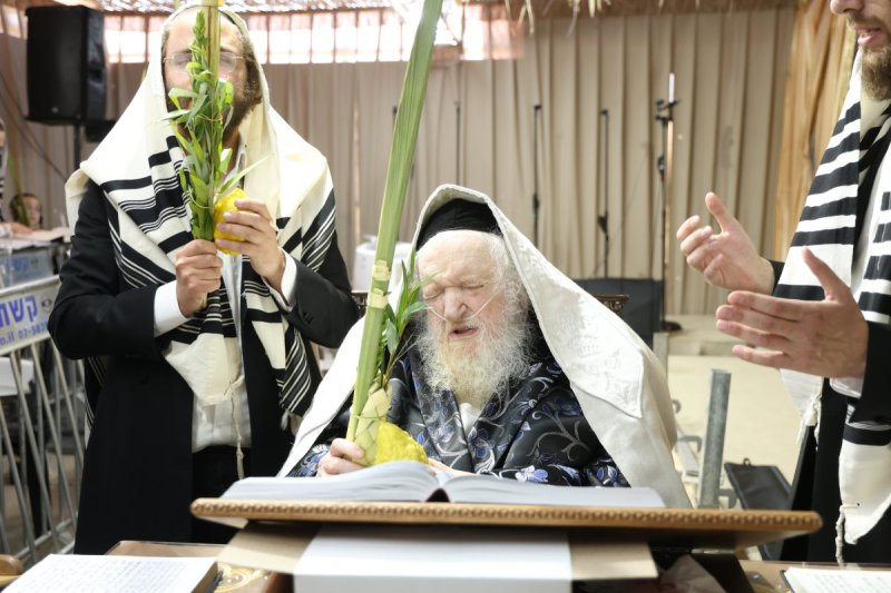 דוד ארזני
