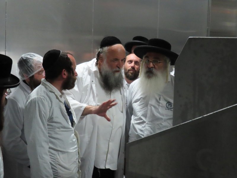 שלומי טריכטר