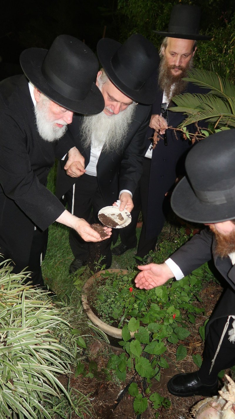דברי חמד