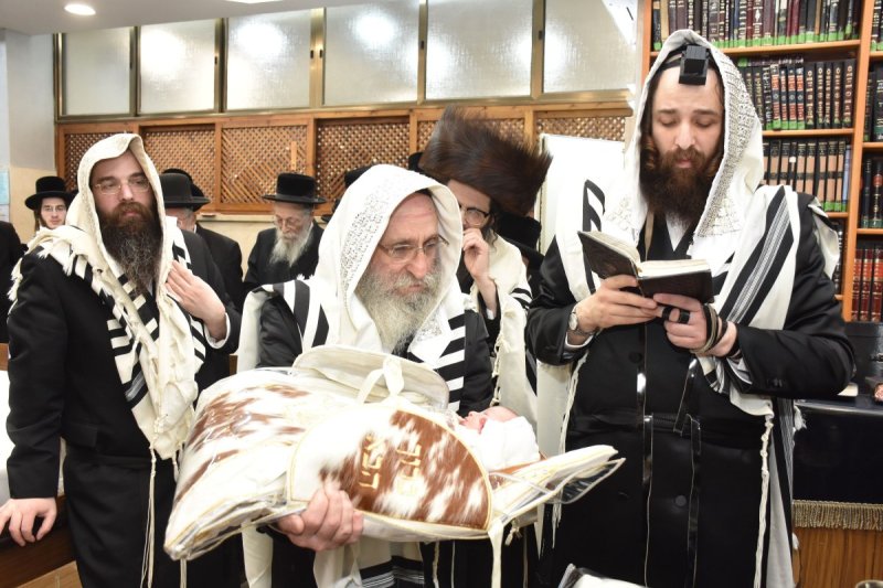 יהודה פרקוביץ