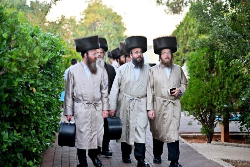 יהושע פרוכטר